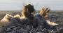 Le Hezb: supercherie, fourberie, manipulation…  