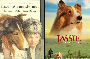The Real Story of Lassie: The Collie Who Captivated the World
