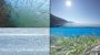 La mer Mediterranée a enregistré dimanche une température record pour un mois de juin