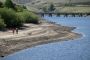 Fears for Crops as Drought Hits Northern Europe