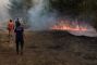 Incendies en Turquie: plus de 50.000 personnes évacuées