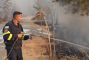 Chypre: l'incendie dévastateur désormais contenu