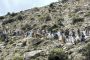 Days After Quake, Afghan Survivors Still Await Aid