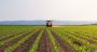 Quand la concurrence étrangère étrangle l’agriculture libanaise
