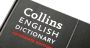 «Vibe coding», expression de l'année 2025 pour le dictionnaire Collins