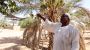 Au Soudan, la guerre coupe l’eau et tue l’agriculture