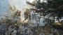 Army Helicopters Battle Akkar's Raging Forest Fire