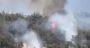 Wildfire Devastates Qammouaa’s Historic Forests in Lebanon