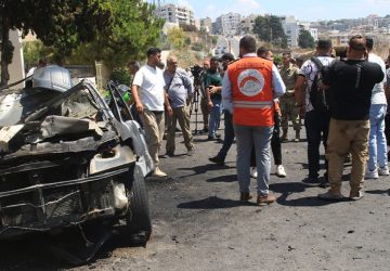 Hamas Official Injured in Saida Raid