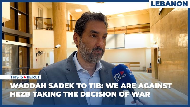 Waddah Sadek to TIB: We Are Against Hezb Taking the Decision of War