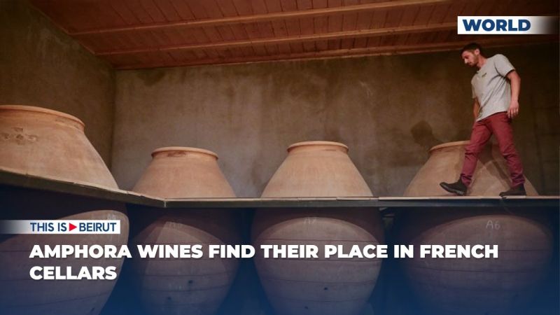 Amphora Wines Find Their Place in French Cellars