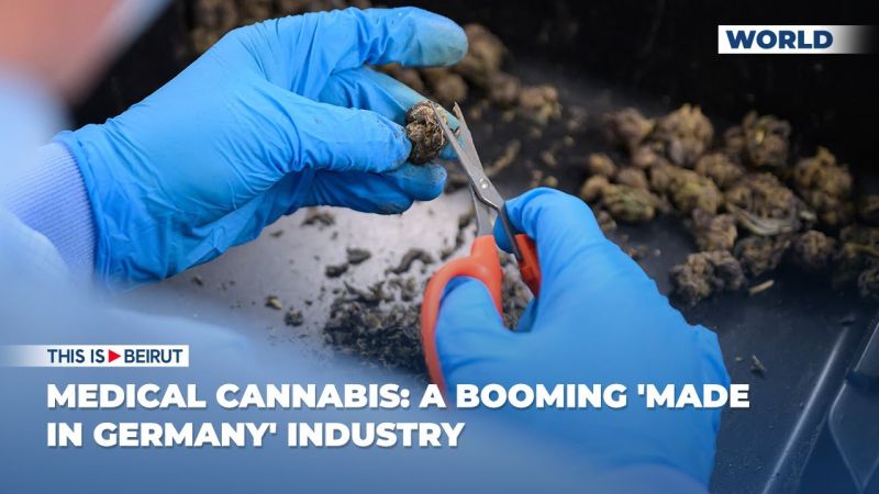 Medical Cannabis: A Booming 'Made in Germany' Industry