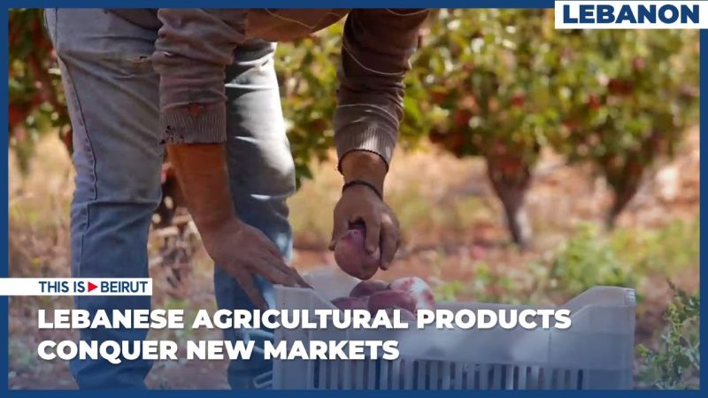 Lebanese Agricultural Products Conquer New Markets