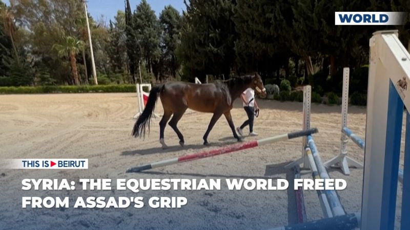 Syria: The Equestrian World Freed from Assad's Grip