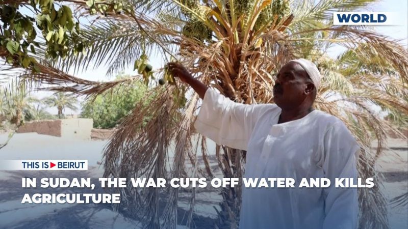 In Sudan, the War Cuts off Water and Kills Agriculture