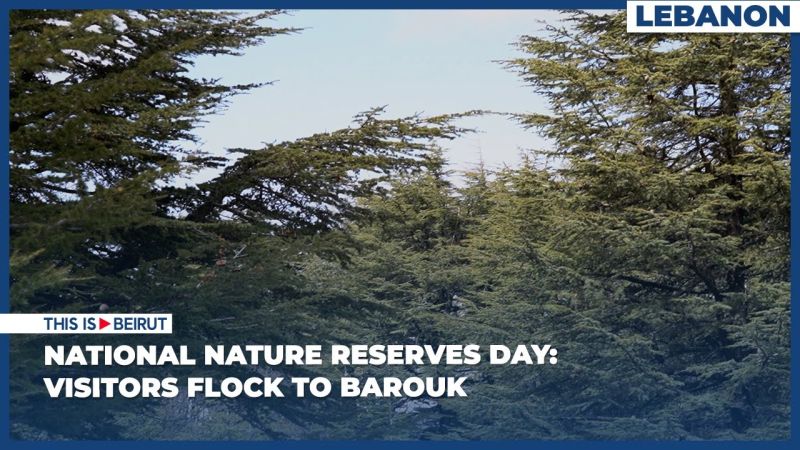 National Nature Reserves Day: Visitors Flock to Barouk