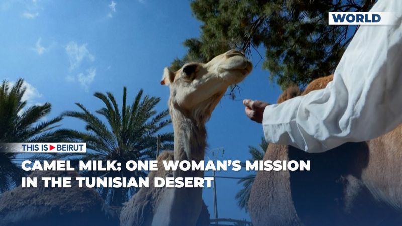 Camel Milk: One Woman’s Mission in the Tunisian Desert