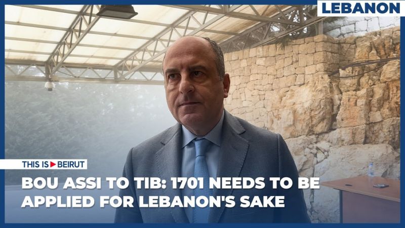 Bou Assi to TIB: 1701 Needs to Be Applied for Lebanon's Sake