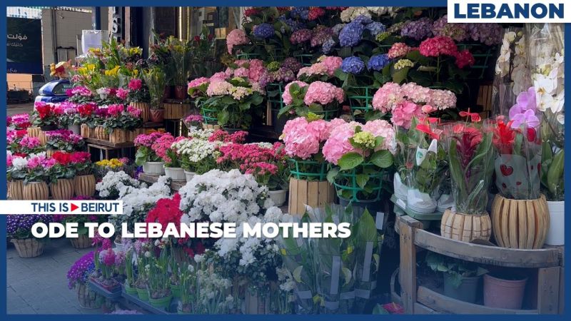 Ode to Lebanese Mothers