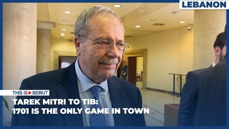 Tarek Mitri to TIB: 1701 Is the Only Game in Town