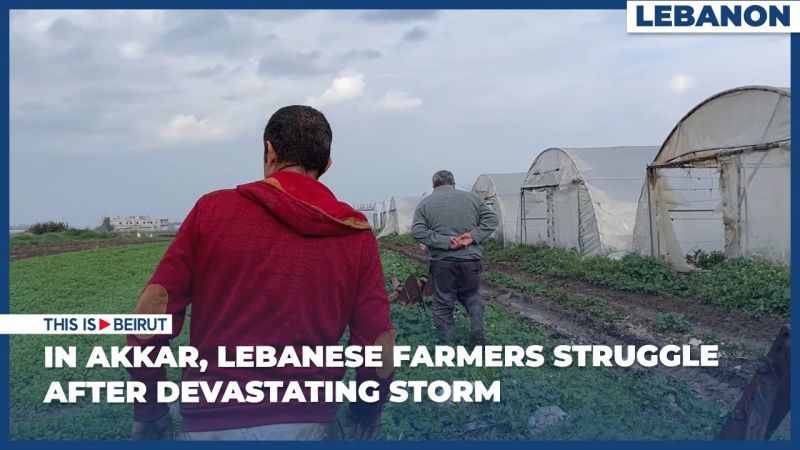 In Akkar, Lebanese Farmers Struggle After Devastating Storm