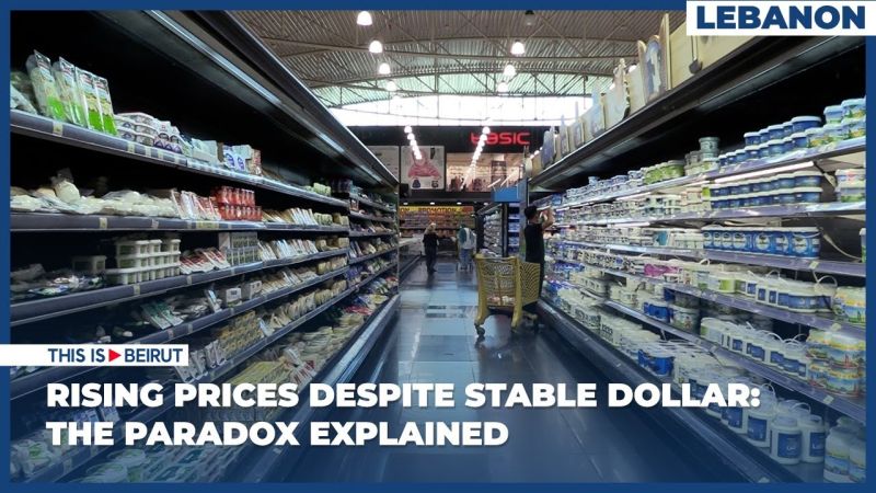 Rising Prices Despite Stable Dollar: The Paradox Explained