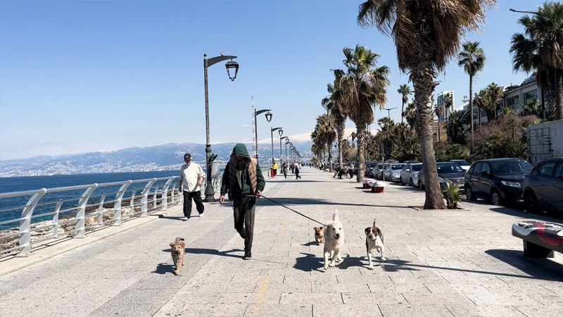 Storm Strikes Beirut, But Life Goes On