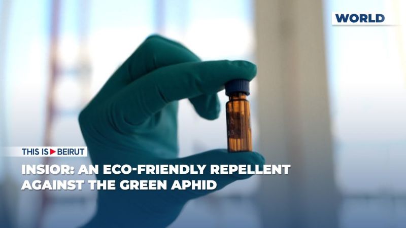 Insior: An Eco-Friendly Repellent Against the Green Aphid